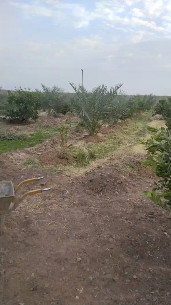 کشاورزی و باغبانی ونگهبانی بم|استخدام سرایداری و نظافت|نرماشیر, |دیوار