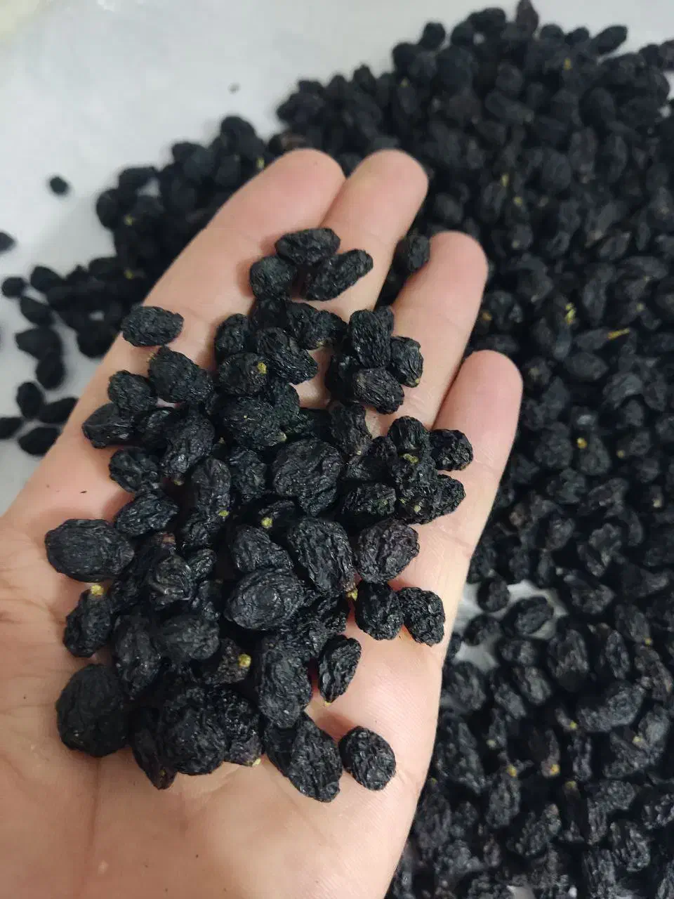 فروش مویز|خوردنی و آشامیدنی|بردسکن, |دیوار