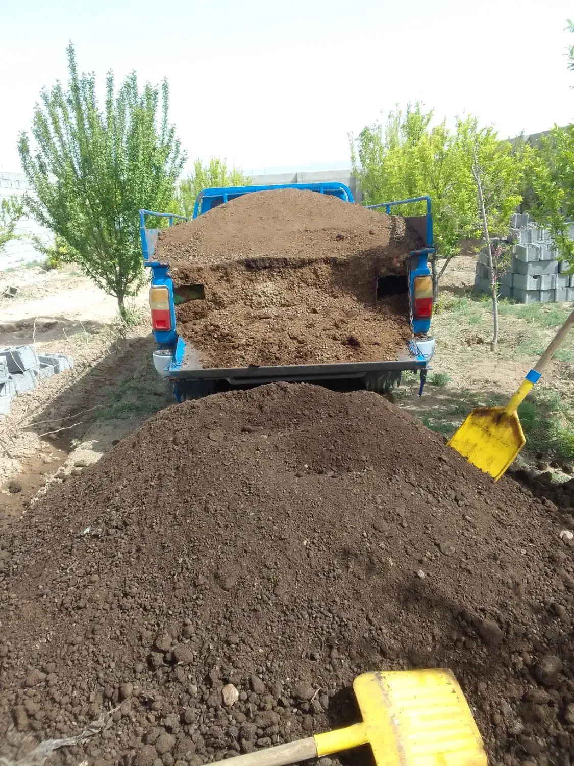 انواع کودگاوی گوسفندی درکل استان البرزوکیسه ای|گل و گیاه طبیعی|هشتگرد, ینگی امام|دیوار