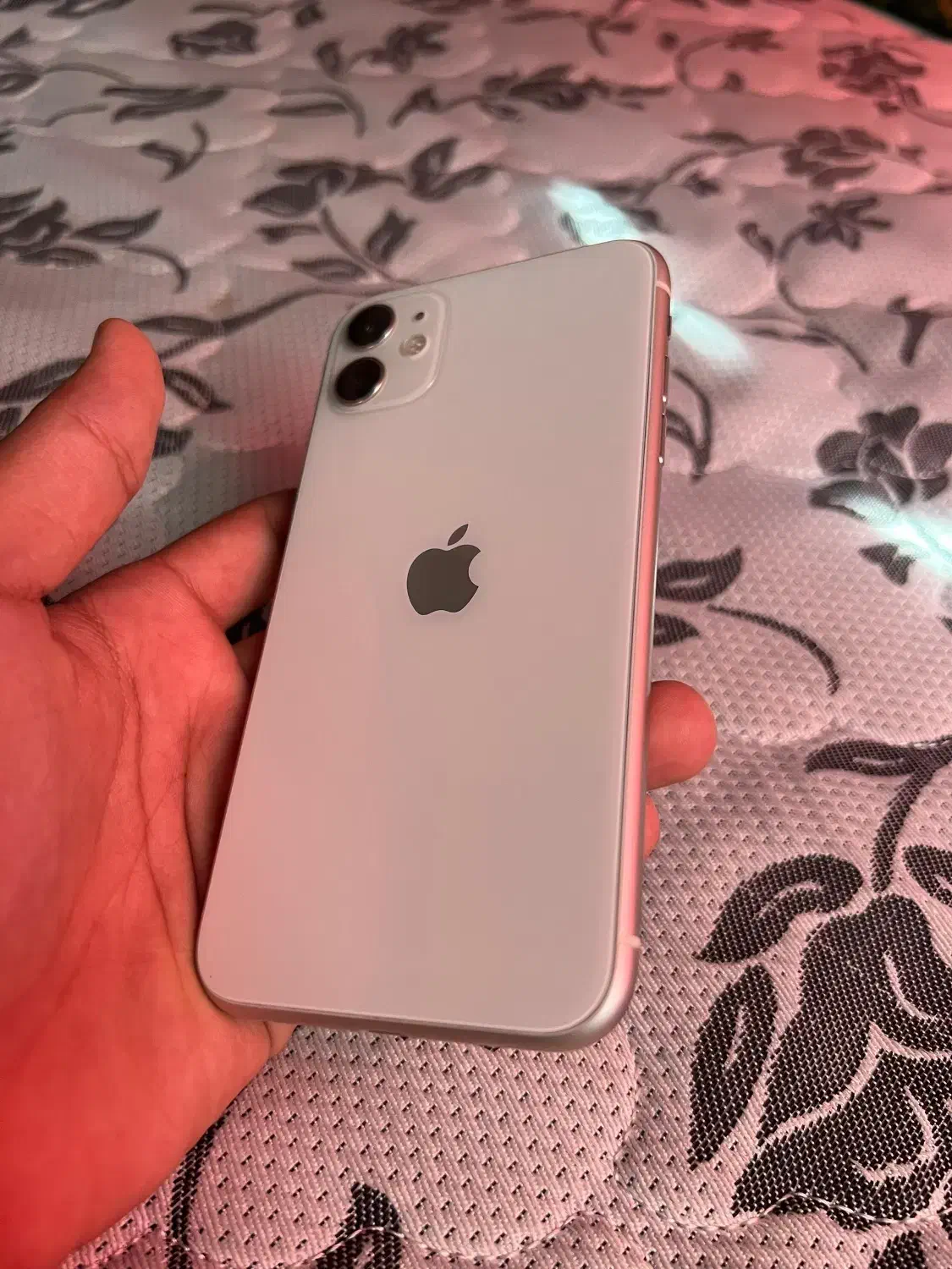 گوشی ایفون۱۱نرمال|موبایل|بندرعباس, |دیوار