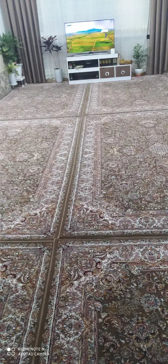 فرش|فرش|مریوان, |دیوار