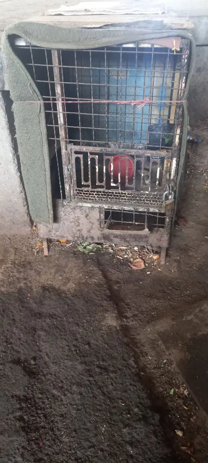 قفس پرنده|لوازم جانبی حیوانات|تهران, میدان میوه و تره‌بار مرکزی|دیوار