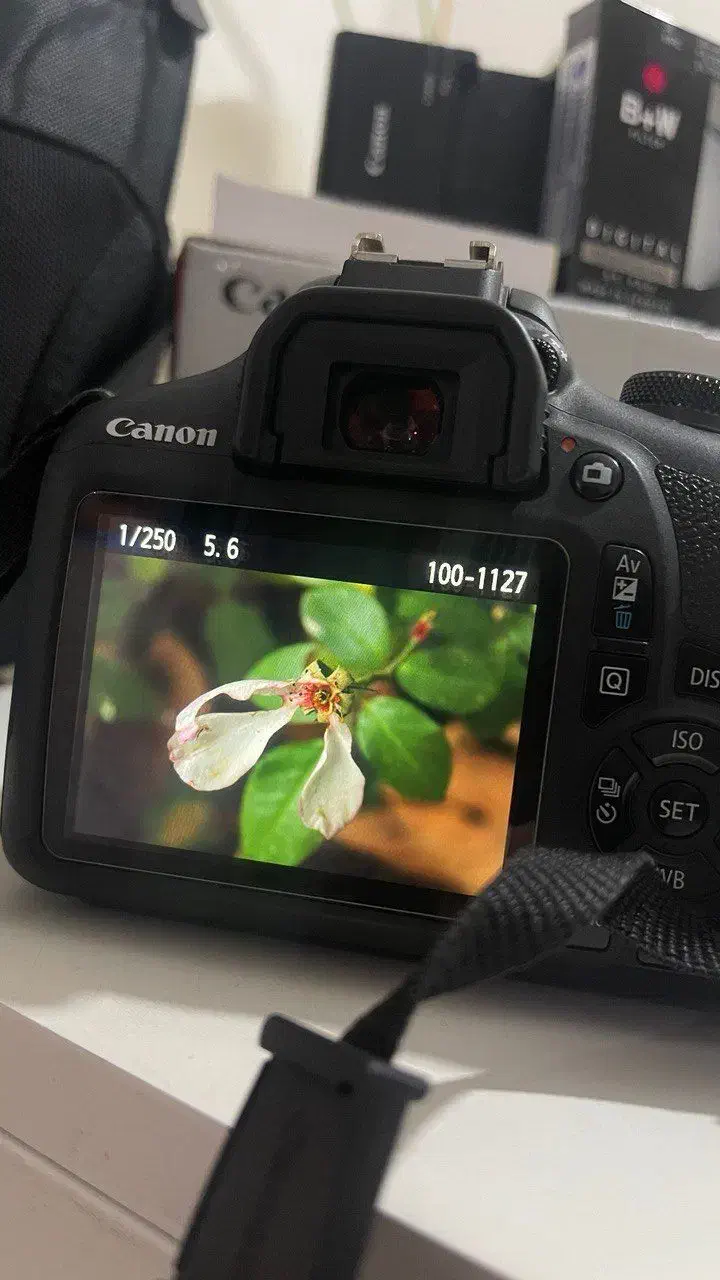 دوربین کنونcanon 2000D|دوربین عکاسی و فیلم‌برداری|شهریار, شهریار|دیوار