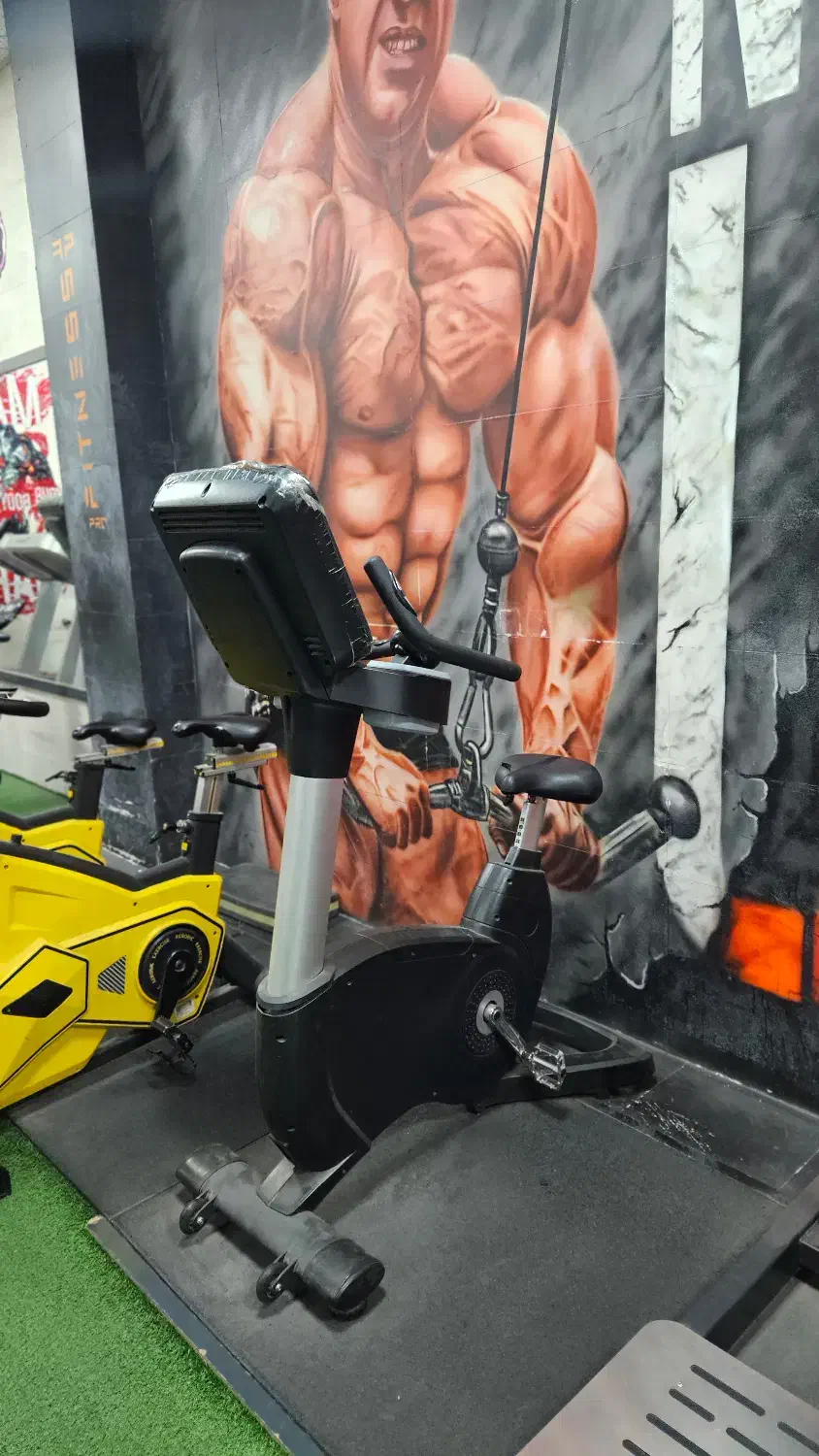 دوچرخه باشگاهی|تجهیزات ورزشی|فولادشهر, C4|دیوار