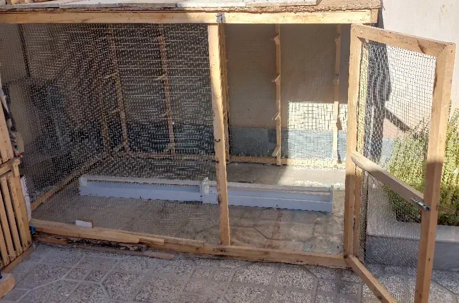 قفس چوبی بزرگ|لوازم جانبی حیوانات|تربت‌حیدریه, هاشمی‌نژاد|دیوار