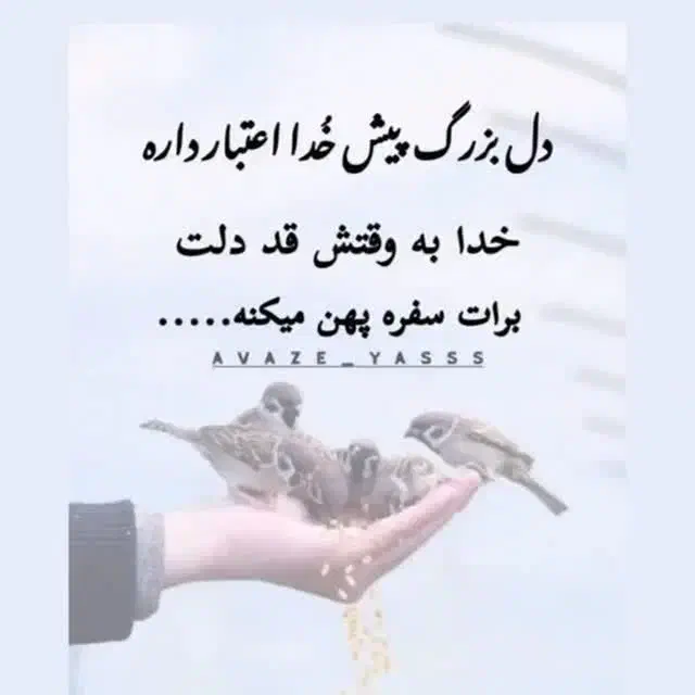 راهنمایی اجتماعی|فعالیت داوطلبانه|اهواز, سلطانمنش|دیوار