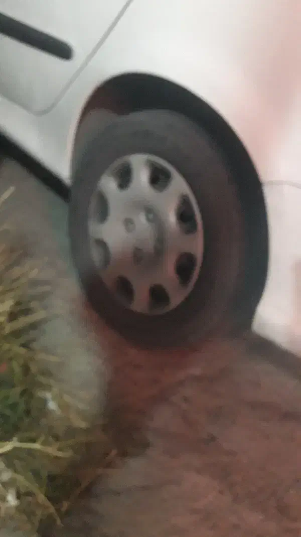 فروش لاستیک نو ۱۰ عدد|قطعات یدکی و لوازم جانبی|اردبیل, |دیوار