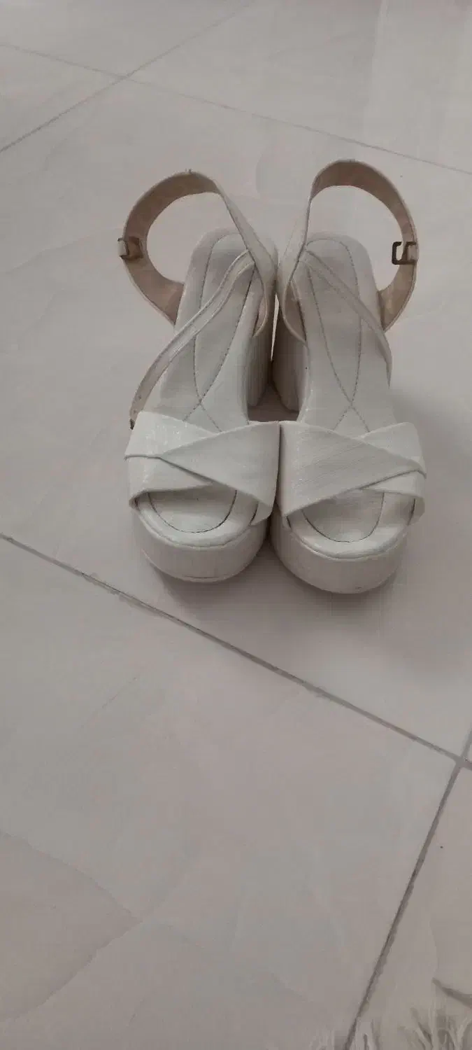 کفش|کیف، کفش، کمربند|قائم‌شهر, |دیوار