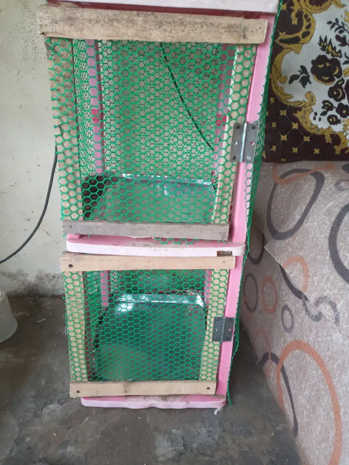 جفتگاه کبوتر|لوازم جانبی حیوانات|ضیابر, |دیوار