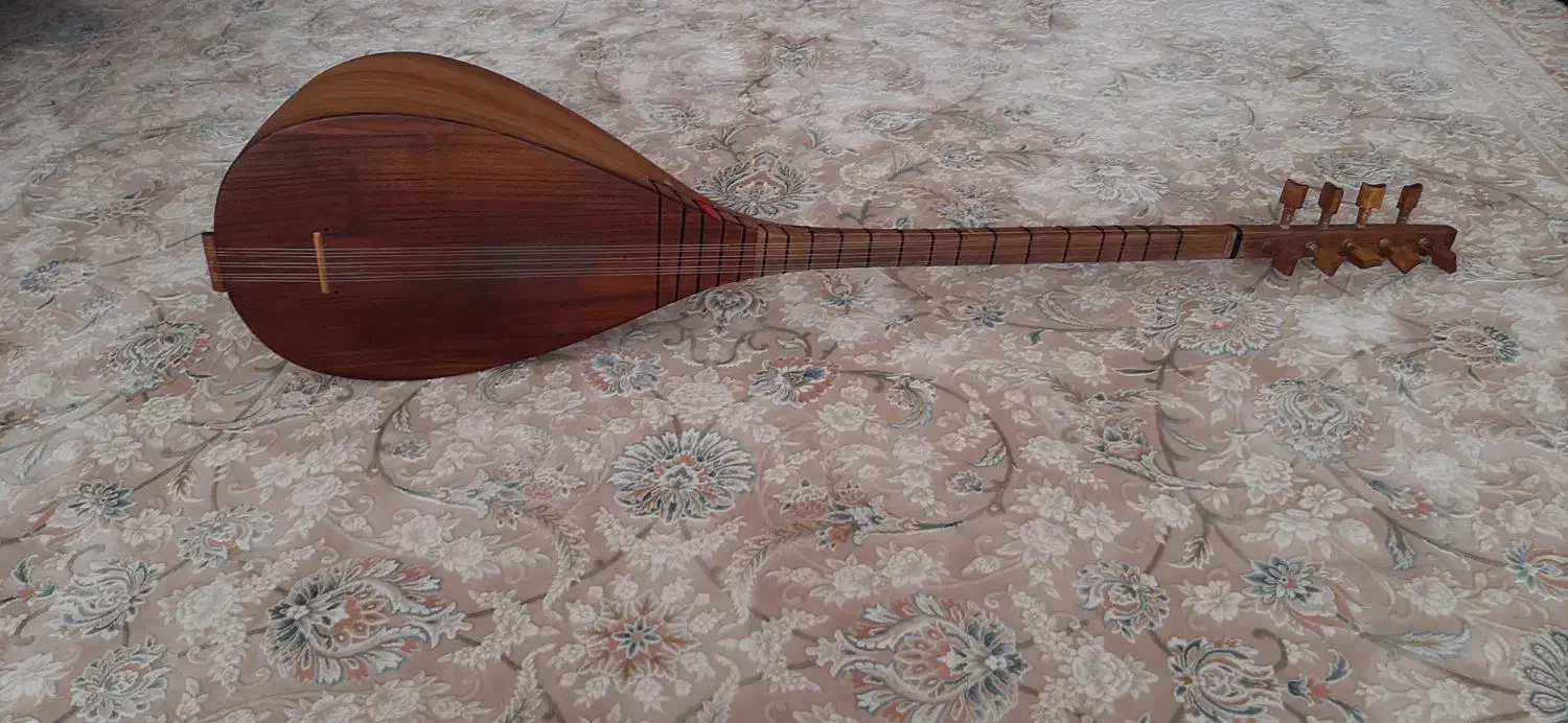 ساز قوپوز|سازهای سنتی|میانه, |دیوار