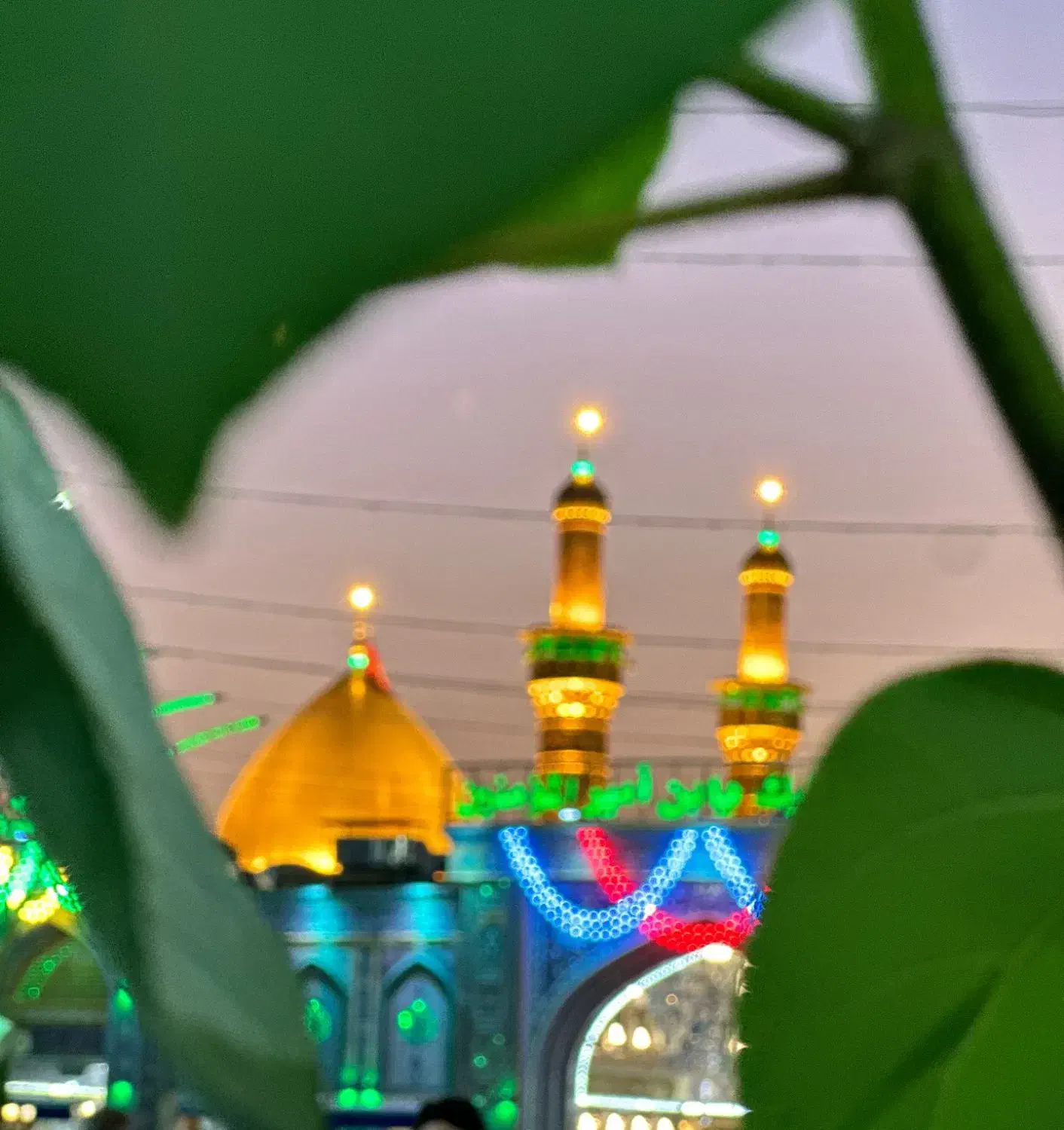 کاروان زیارتی کربلا|تور و چارتر|شیراز, کوشک میدان|دیوار