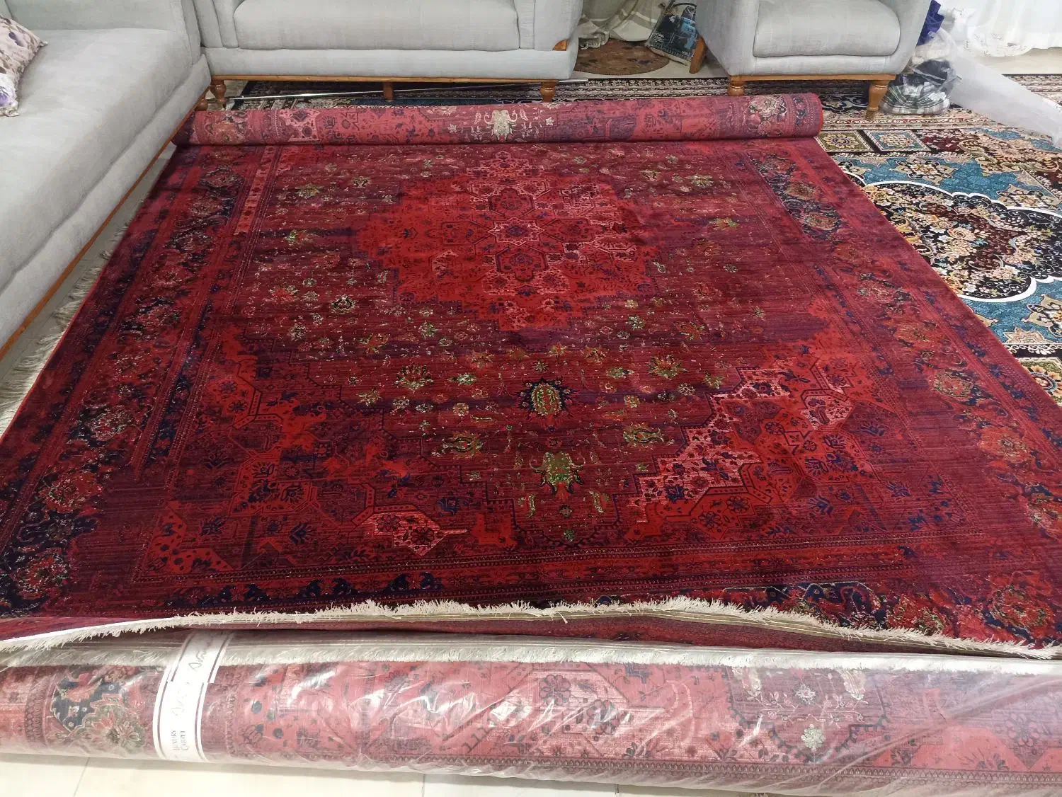 فرش مدل فرح نونو استفاده نشده|فرش|گنبد کاووس, |دیوار