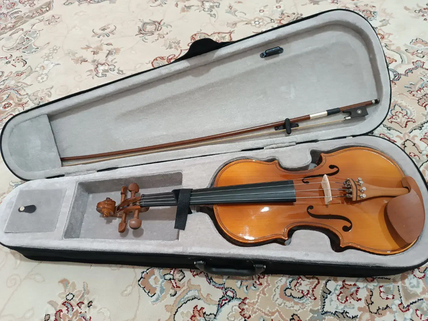 ویولن|ویولن|ایلام, |دیوار