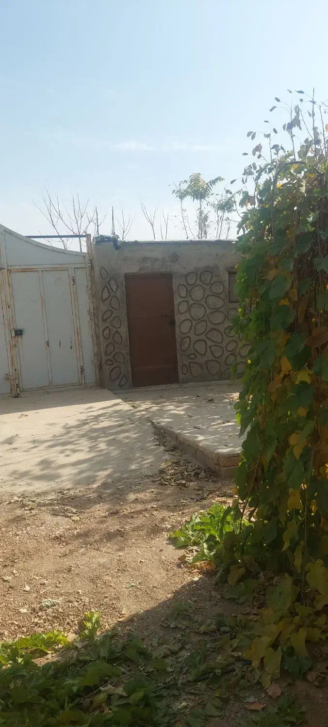 فروش باغ ثمری|فروش خانه و ویلا|بیضا, |دیوار