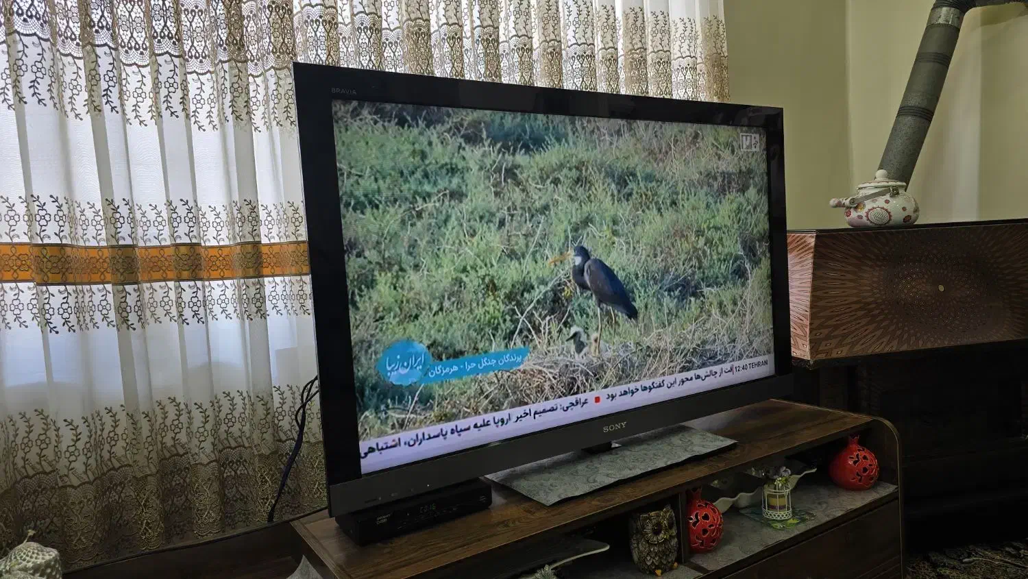 تلویزیون ۴۹ اینچ سونی|تلویزیون و پروژکتور|بندر گز, |دیوار