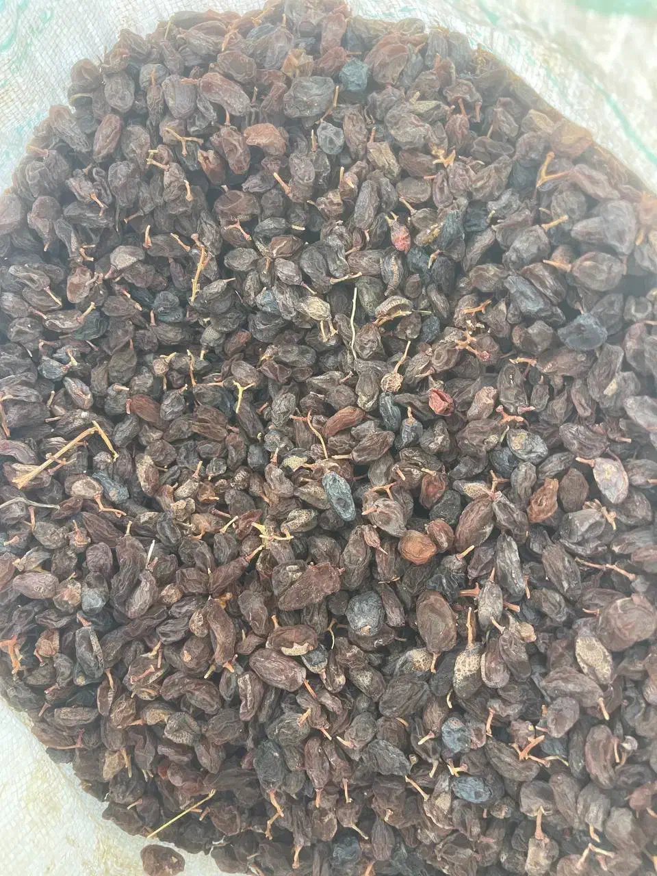 مویز|خوردنی و آشامیدنی|شیراز, شهرک امیر کبیر|دیوار