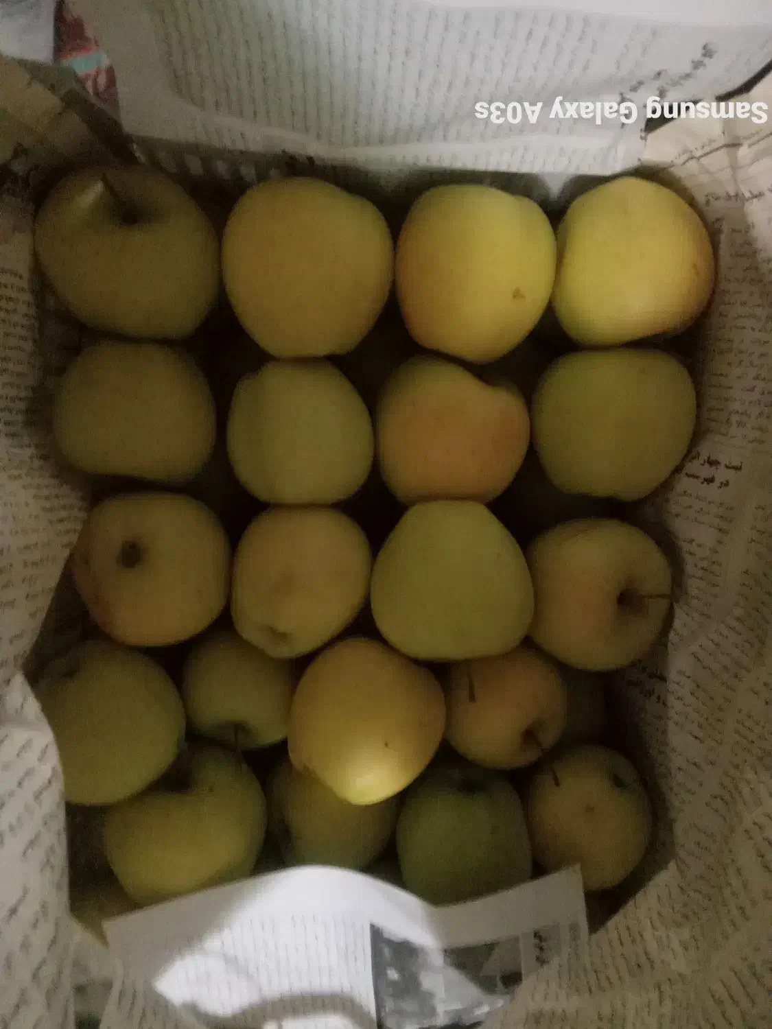 سیب|خوردنی و آشامیدنی|جلفا, |دیوار