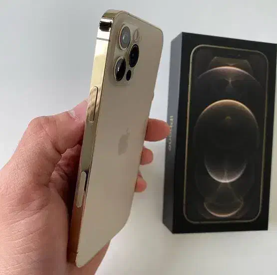 آیفون ۱۲ پرو|موبایل|تبریز, |دیوار