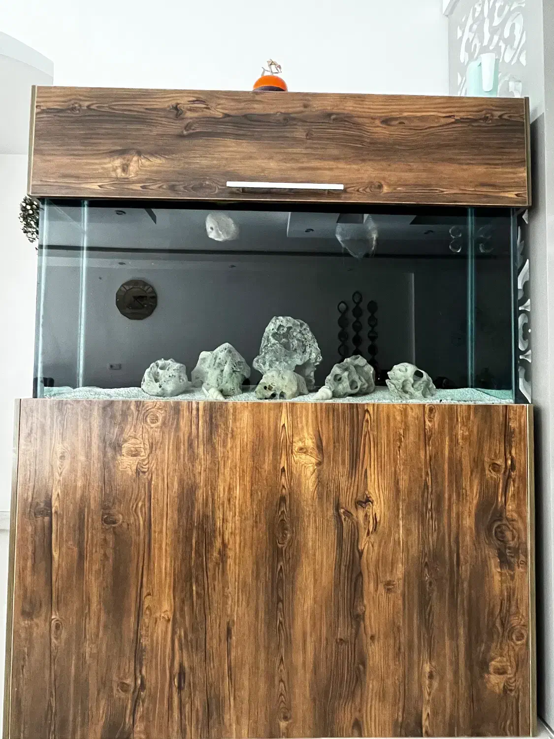 اکواریوم|ماهی|بردسکن, |دیوار