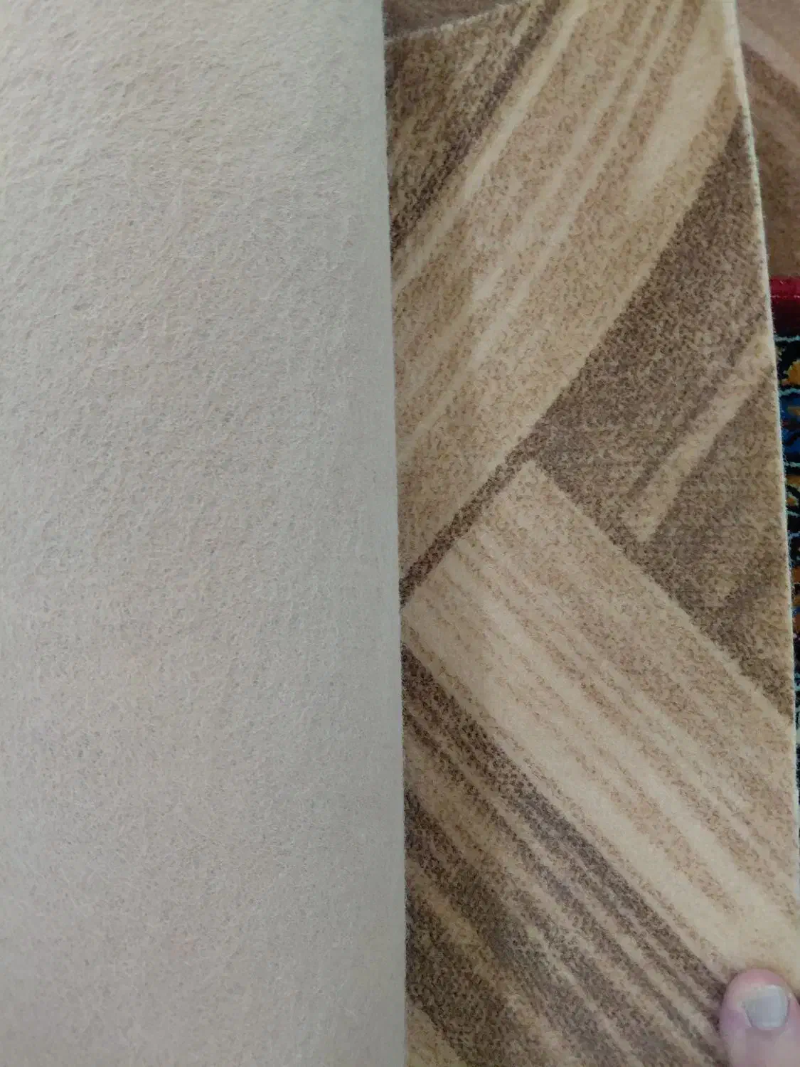 موکت ۱۲ متری|موکت|قم, باغ شازده|دیوار