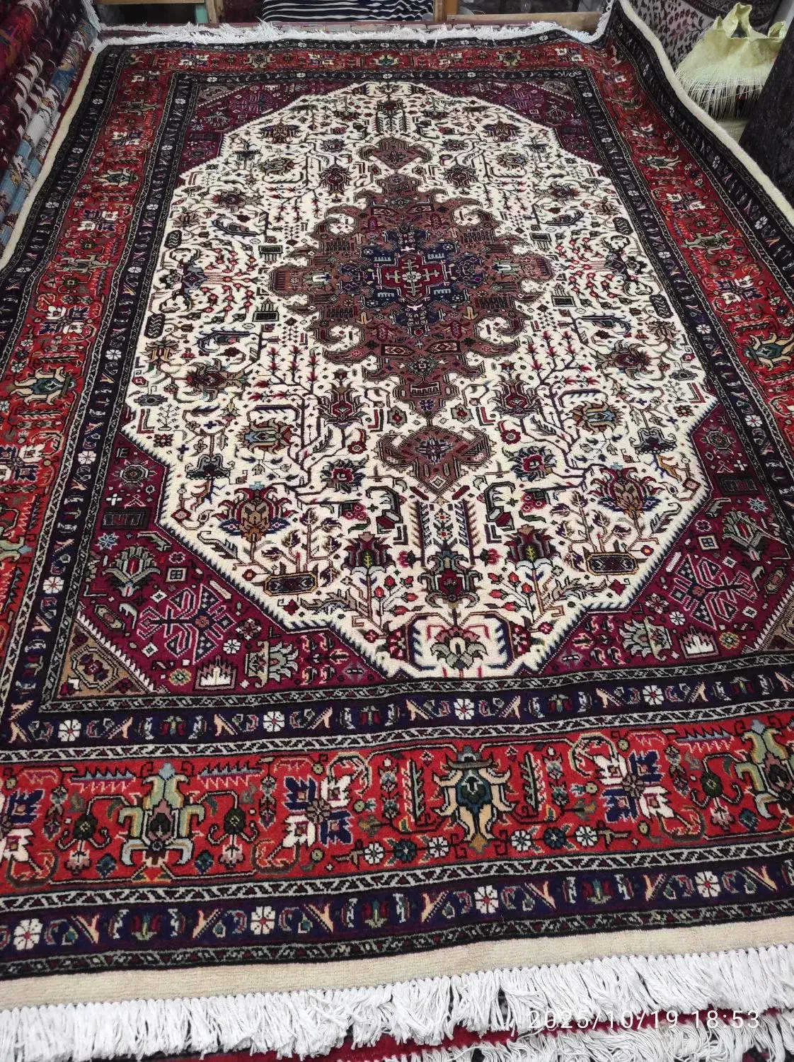 جفت۶متری کرم  مارک غنی‌زاده|فرش|مراغه, |دیوار