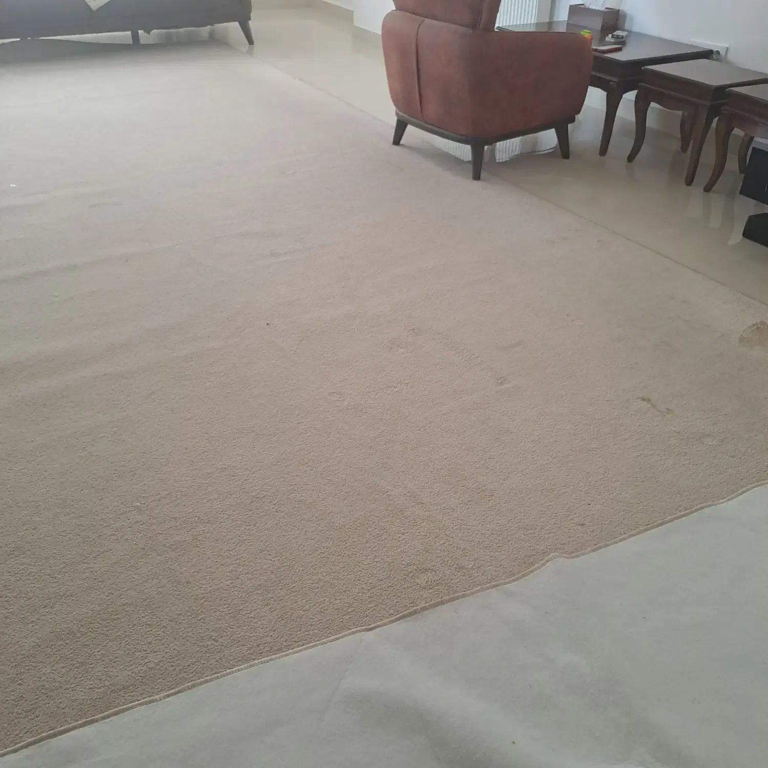 پالاز موکت|موکت|ایلام, |دیوار