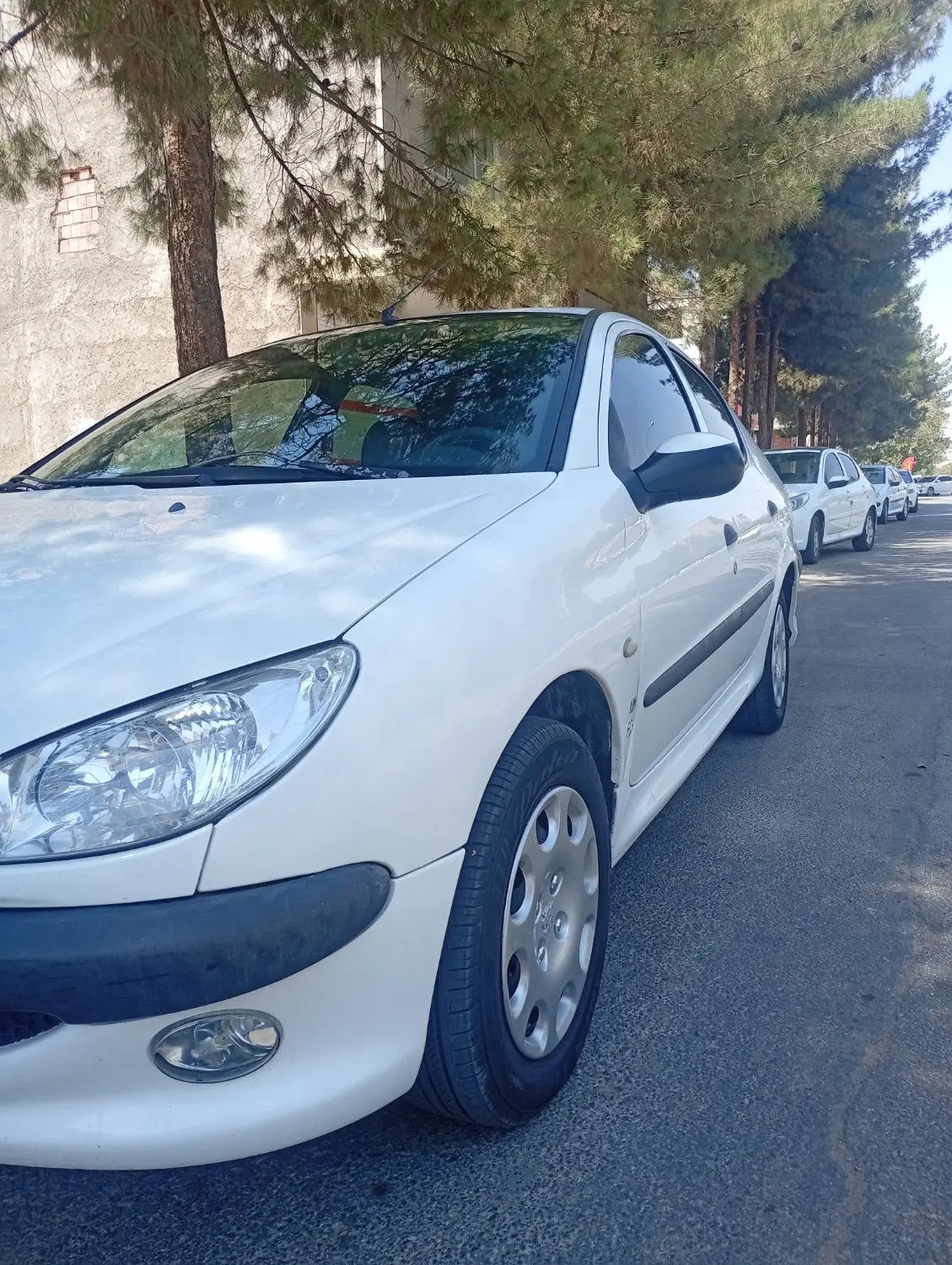 206sd. v8|خودرو سواری و وانت|کرمان, |دیوار