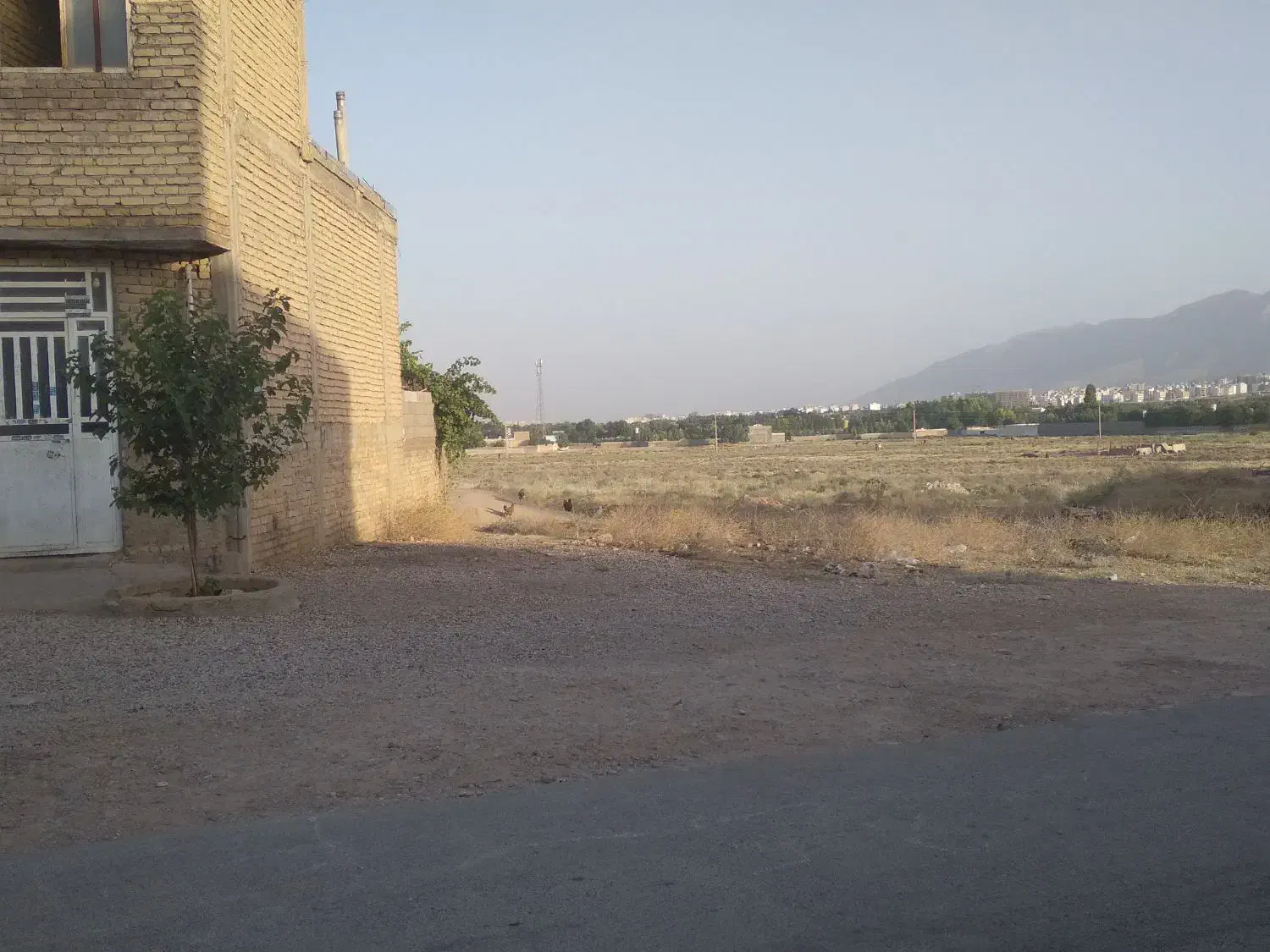 زمین تجاری و مسکونی|فروش زمین و ملک کلنگی|شیراز, دوکوهک|دیوار