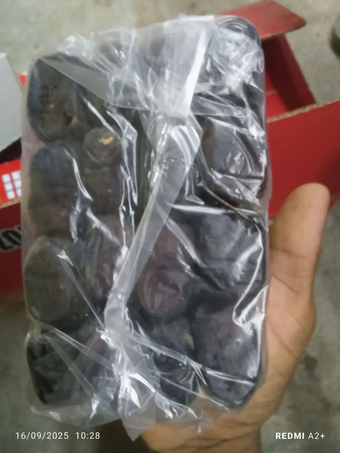 خرما مضافتی درجه یک مخصوص صادرات وداخلی|عمدهفروشی|لاشار, |دیوار