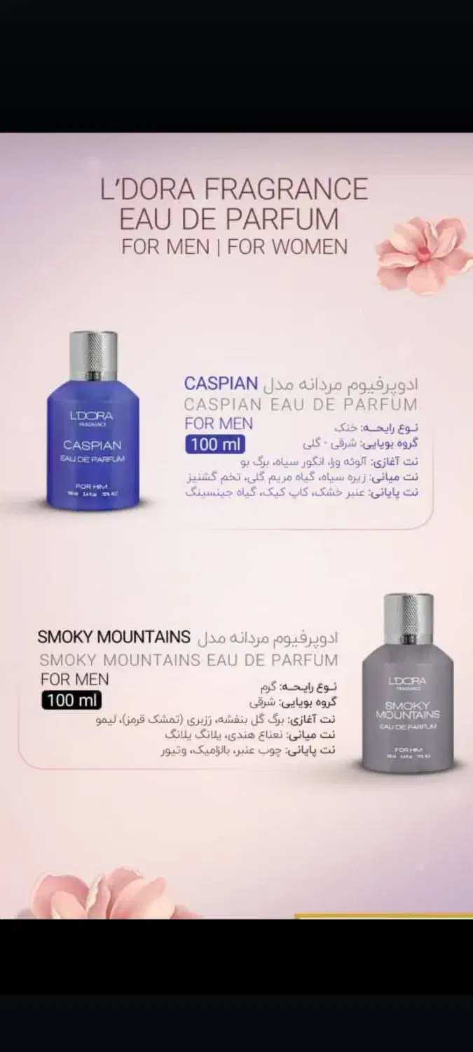 ادوپرفیوم لدورا با تخفیف ویژه|آرایشی، بهداشتی، درمانی|شیراز, سفیرشمالی|دیوار