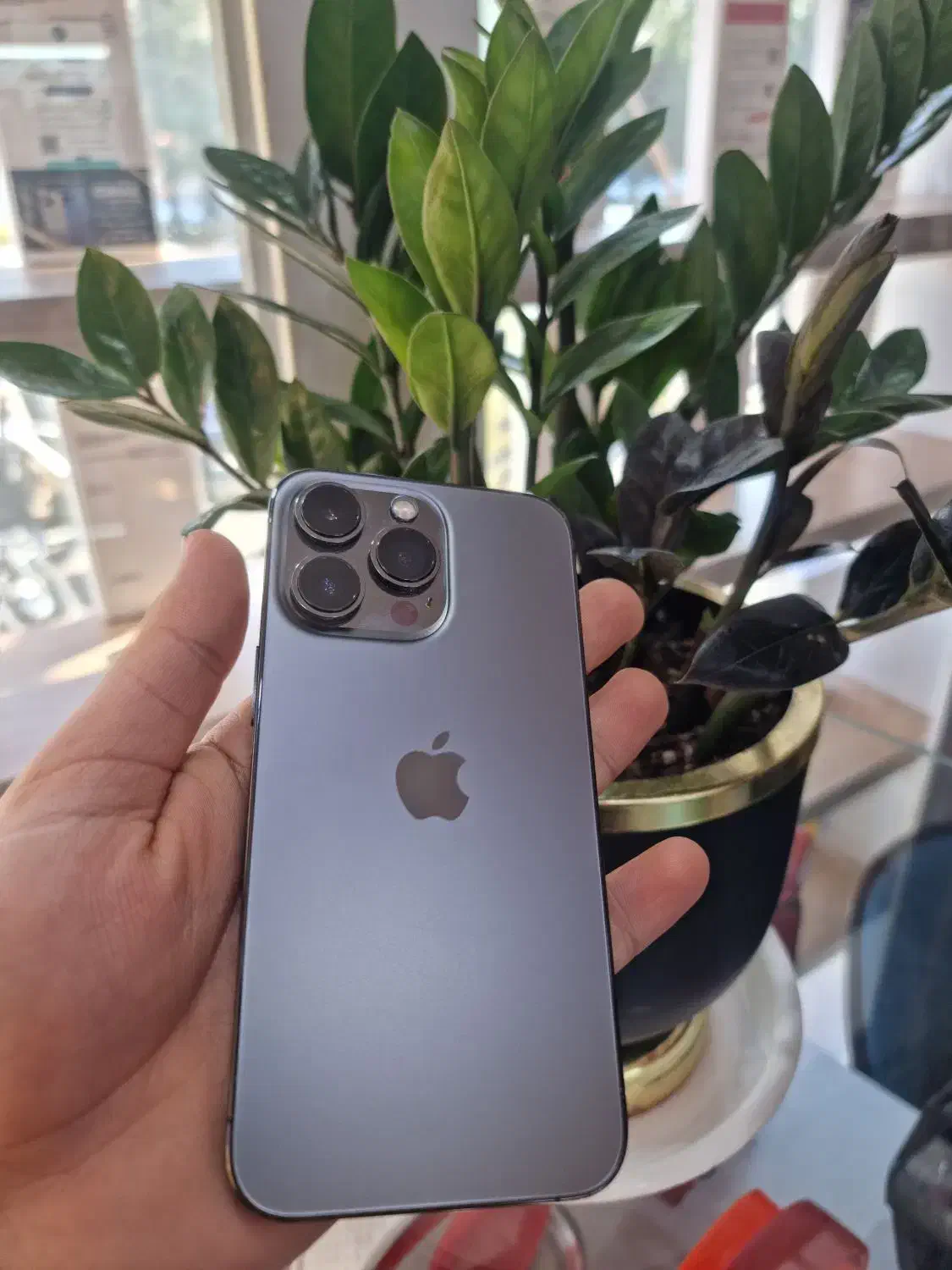 آیفون 13pro|موبایل|قم, هفت تیر|دیوار