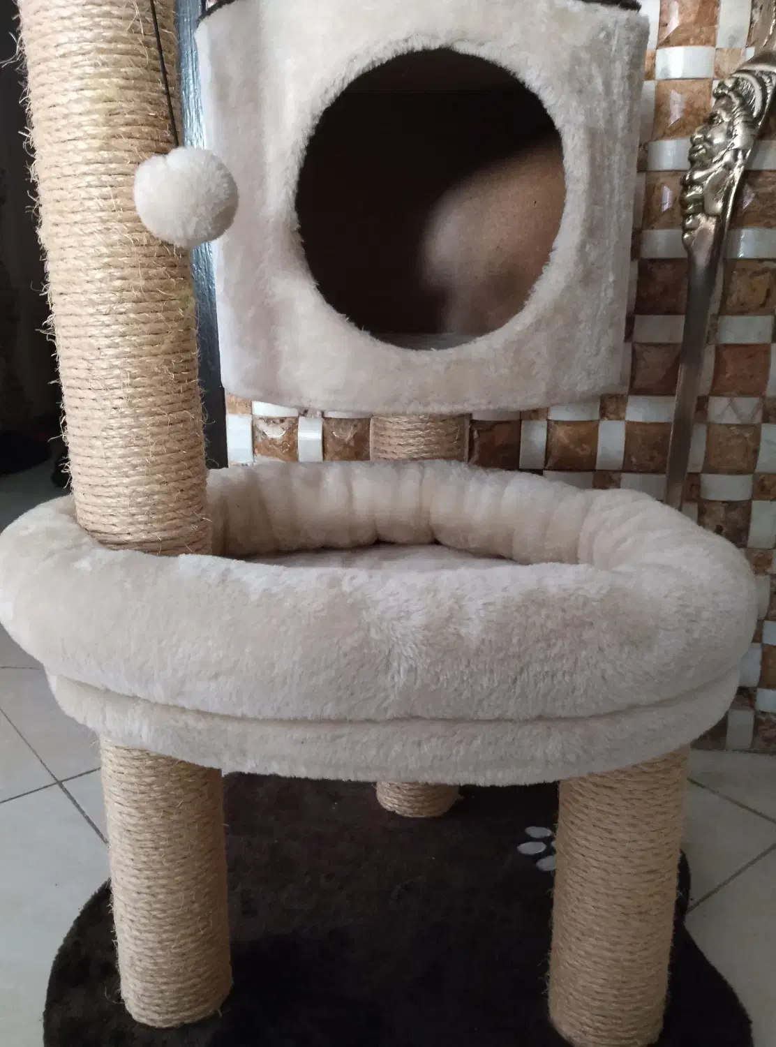 اسکچر|لوازم جانبی حیوانات|رودهن, |دیوار