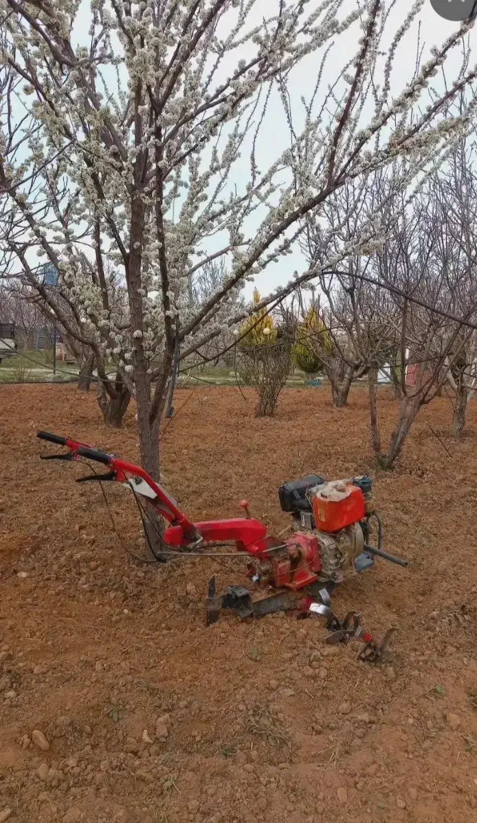 خدمات باغی کلتیواتور وگوده زنی|خدمات باغبانی و درختکاری|ابرکوه, |دیوار