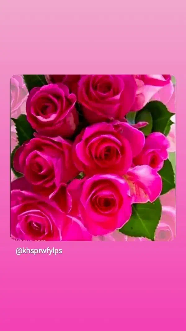 نظافت و پرستاری|خدمات نظافت|سلماس, |دیوار