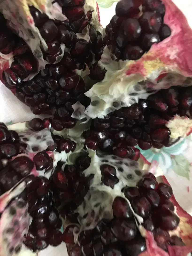 فروش انار کهمره|خوردنی و آشامیدنی|شیراز, زرهی|دیوار
