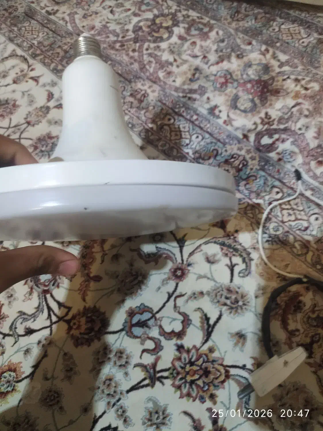 لامپ|لامپ و چراغ|قم, باغ کرباسی|دیوار