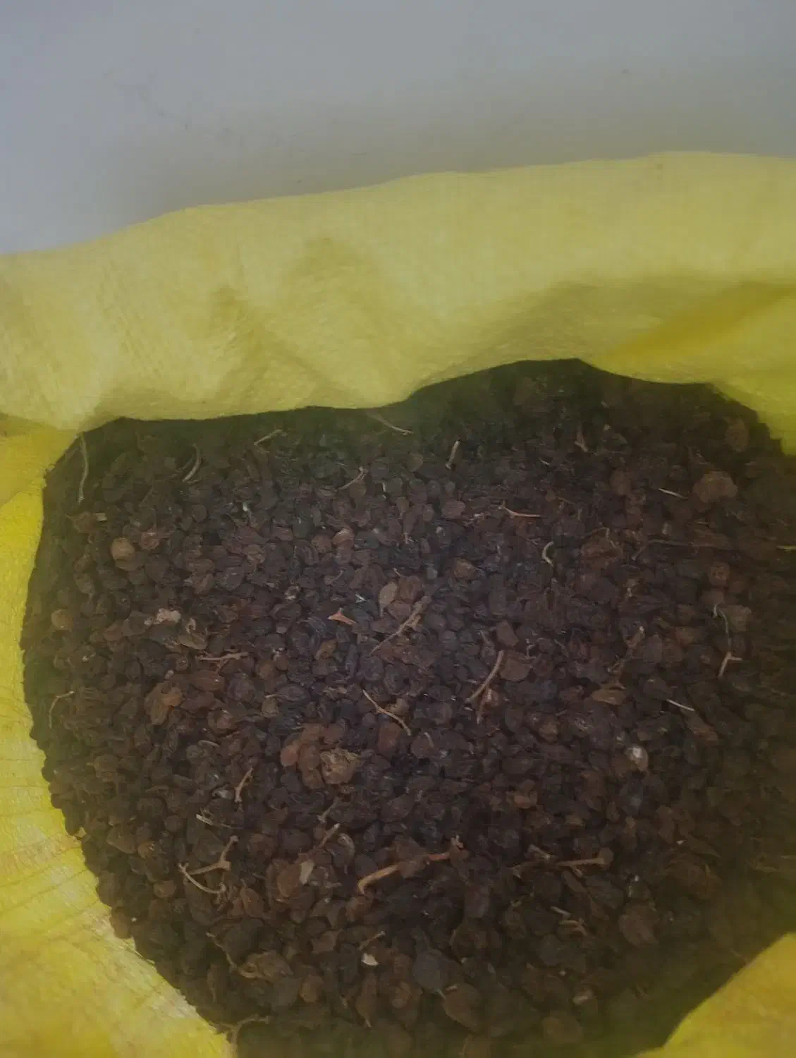 مویز خوراکی|خوردنی و آشامیدنی|سبزوار, شرق کال عیدگاه|دیوار