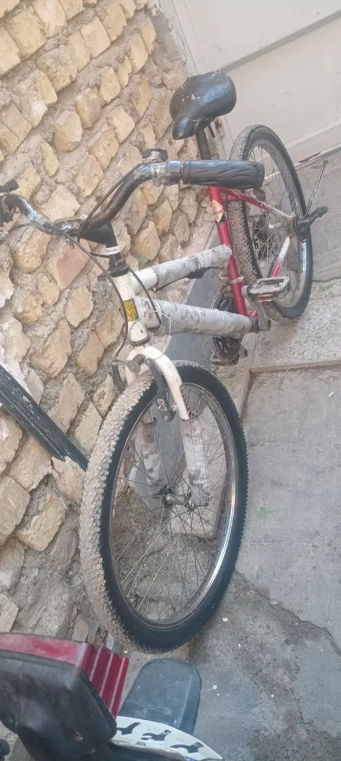 دوچرخه ۲۴|دوچرخه، اسکیت، اسکوتر|اصفهان, شهرک کاوه|دیوار