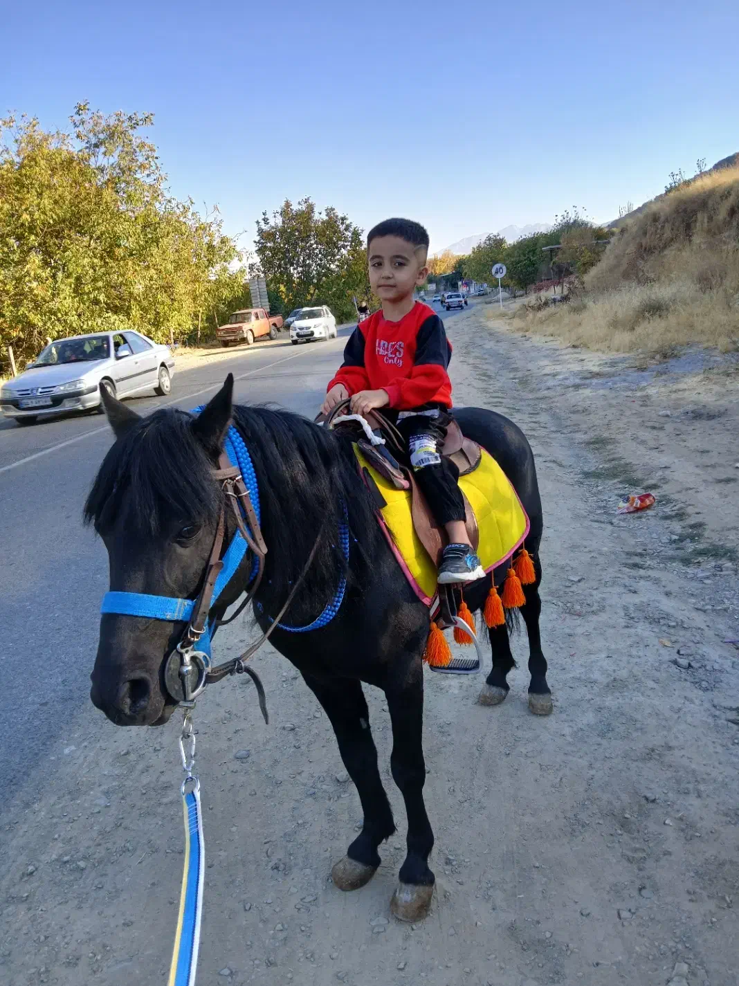 اسب پونی ۶ ساله ارام و زیبا و خاص مشکی درجه یک|اسب و تجهیزات اسبسواری|پیرانشهر, |دیوار