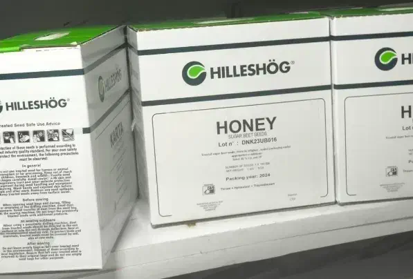 بذر چغندر قند هانی|گل و گیاه طبیعی|نورآباد ممسنی, |دیوار