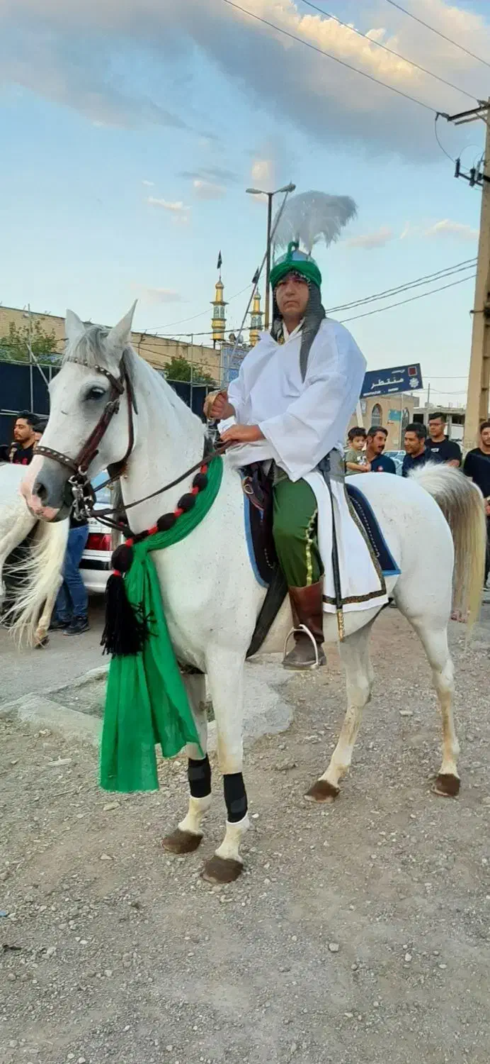 فروش مادیون|اسب و تجهیزات اسب‌سواری|ساوه, |دیوار