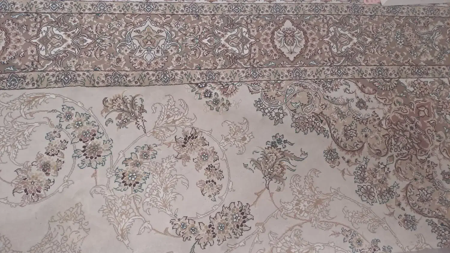 فرش|فرش|بندرعباس, |دیوار