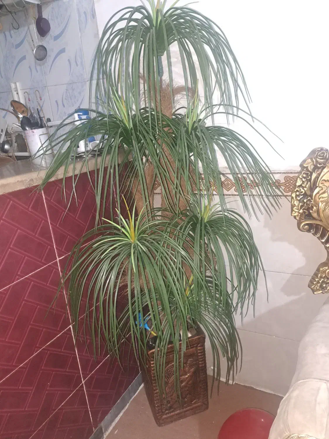 گل و گلدان مصنوعی|گل مصنوعی|قدس, شهرقدس|دیوار