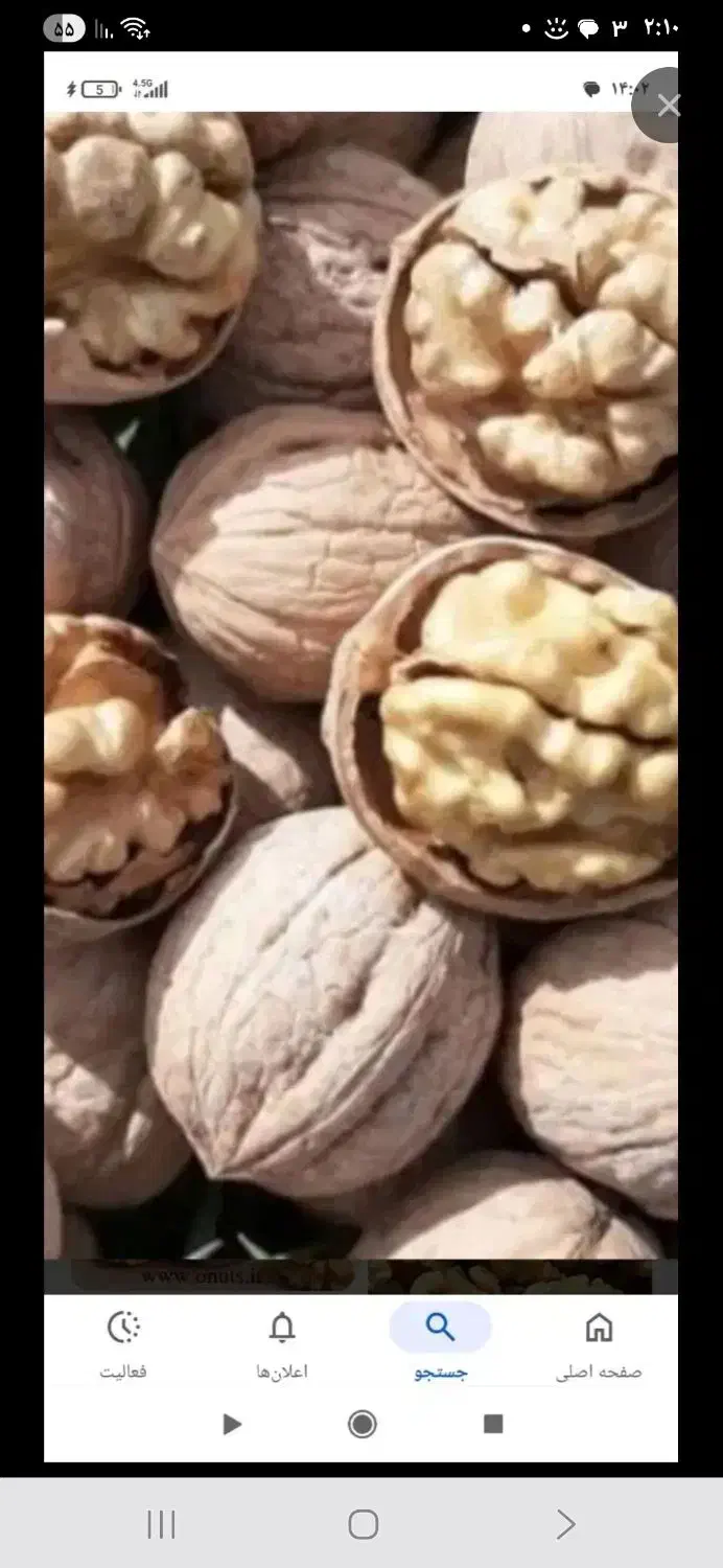 گردو شکن|خوردنی و آشامیدنی|آذرشهر, |دیوار
