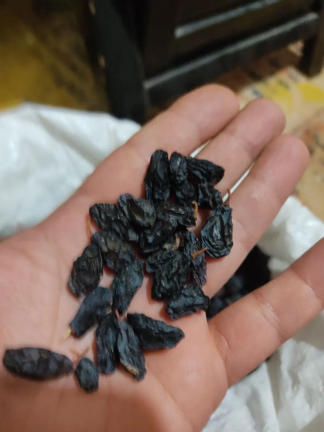 مویز|خوردنی و آشامیدنی|اقبالیه, |دیوار