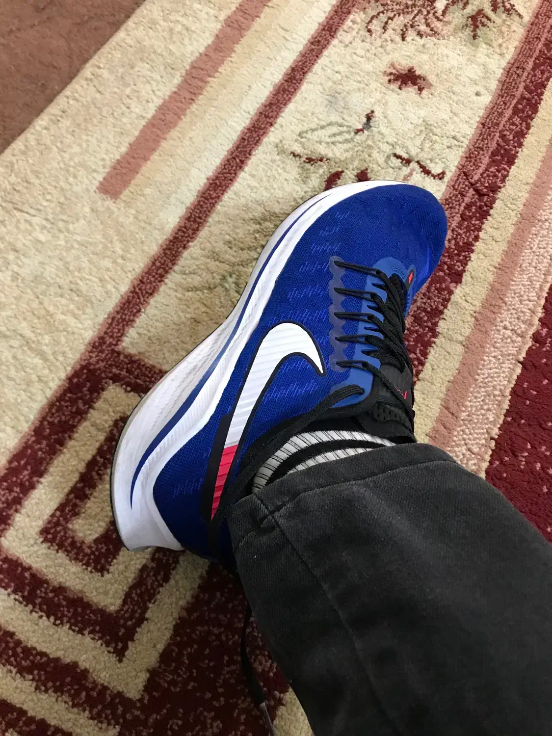 کفش نایک|کیف، کفش، کمربند|سلماس, |دیوار