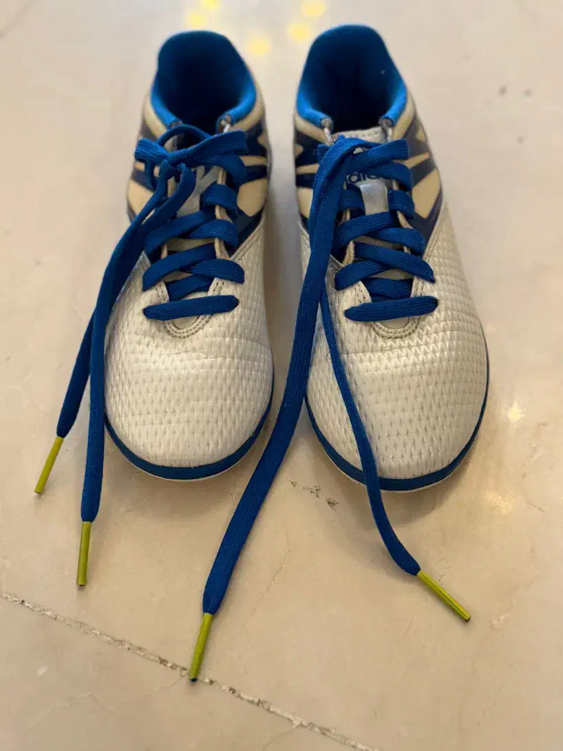 کفش ورزشی|کیف، کفش، کمربند|تهران, تجریش|دیوار