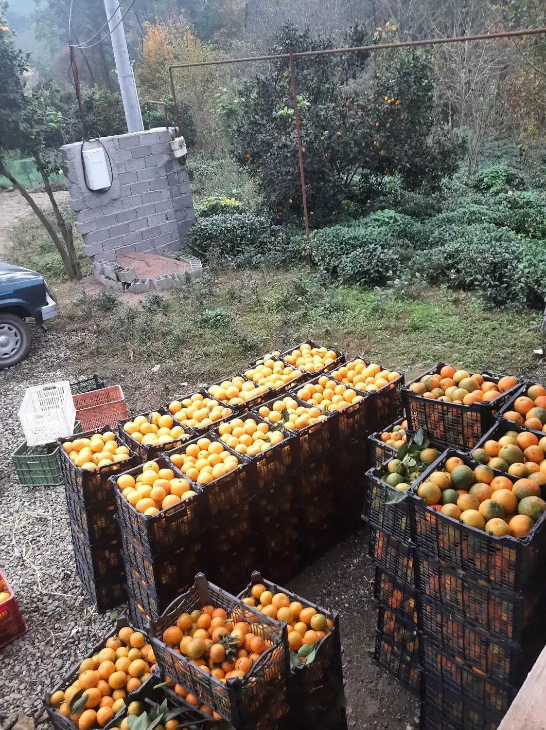 خاور میخوام برای بار پرتغال ببره نهاوند|خدمات حمل و نقل|رانکوه, |دیوار