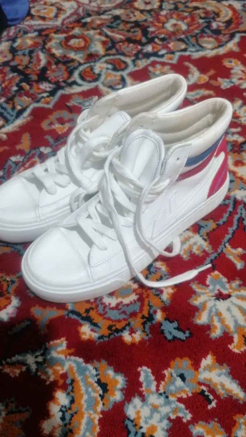 کفش|کیف، کفش، کمربند|یاسوج, |دیوار