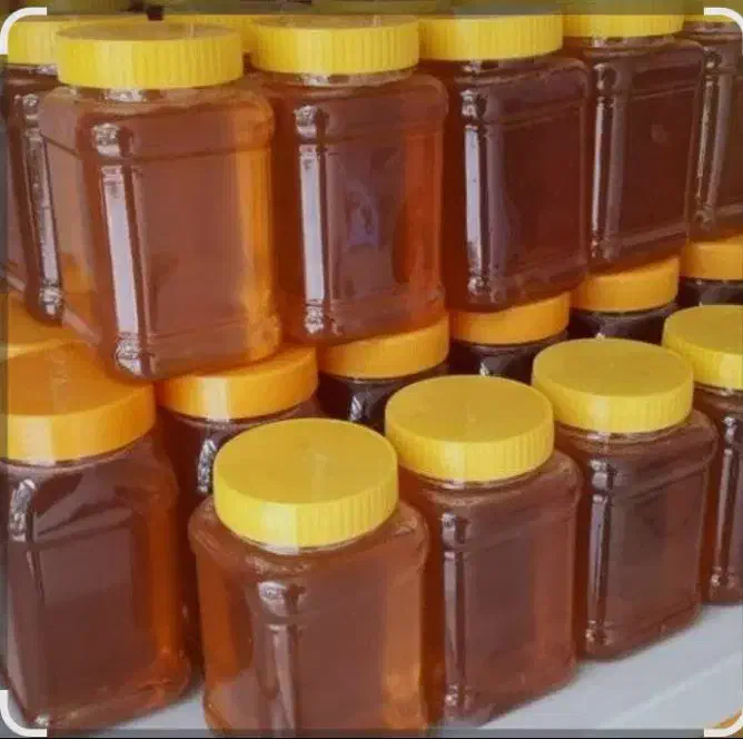 انواع حبوبات ولبنیات خراسان|عمده‌فروشی|رامیان, |دیوار